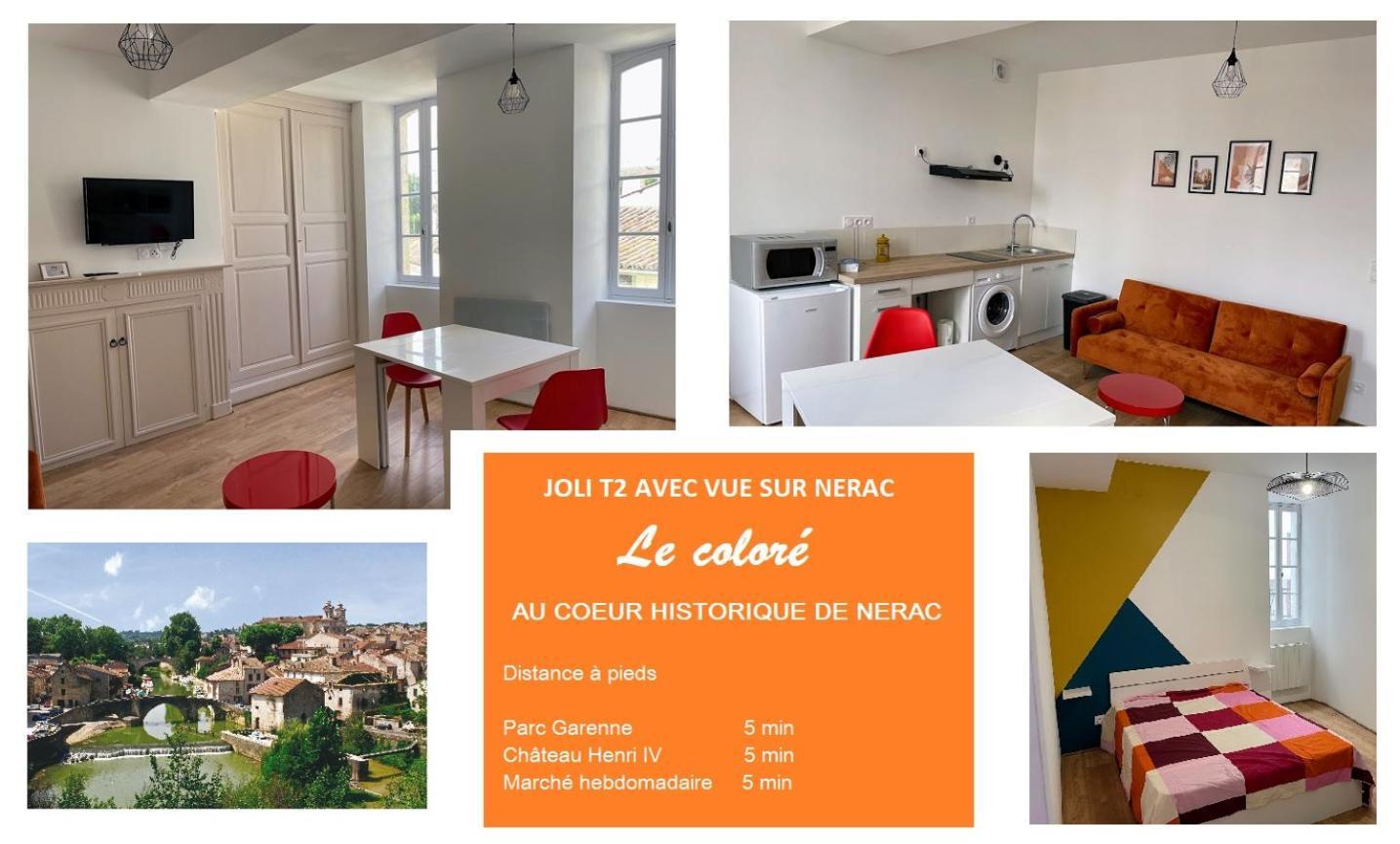 Le Colore- T2 Confortable Avec Vue Sur Nerac Ngoại thất bức ảnh